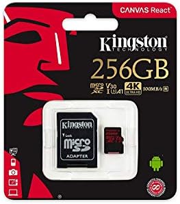 Profesyonel microSDXC 256GB, SanFlash ve Kingston tarafından Özel olarak Doğrulanmış Canon VIXIA HF R10 BlackCard için çalışır.